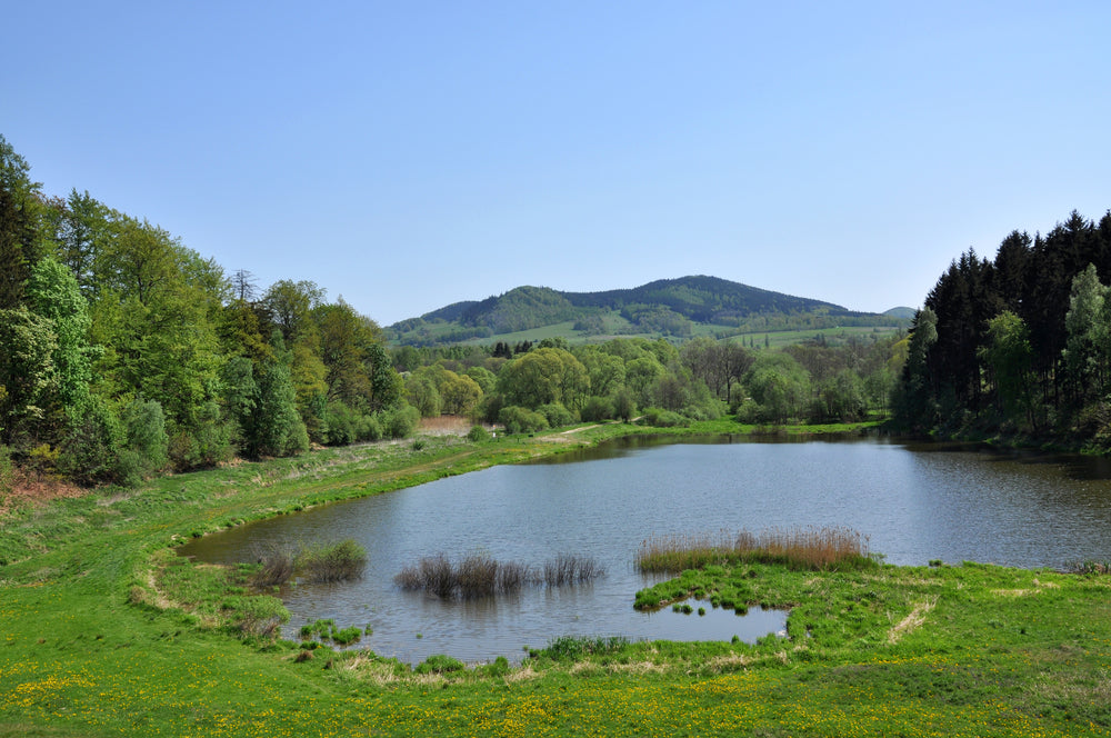 Pond vs Lakes