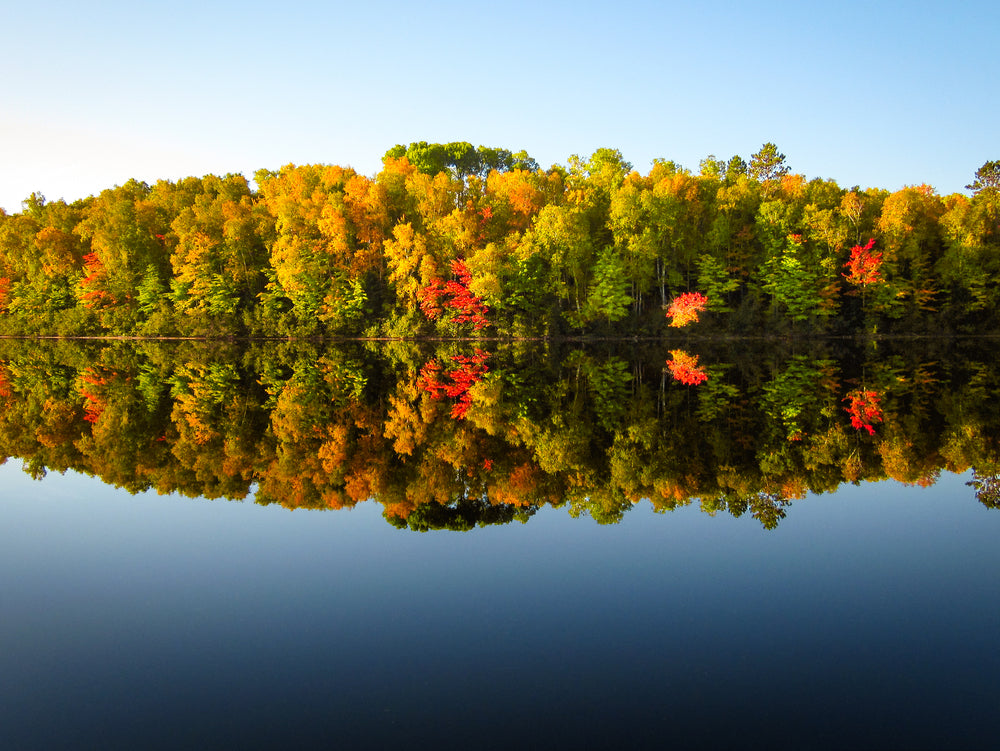 Fall lake